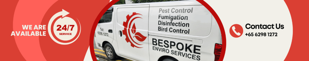 WE ARE AVAILABLE 247